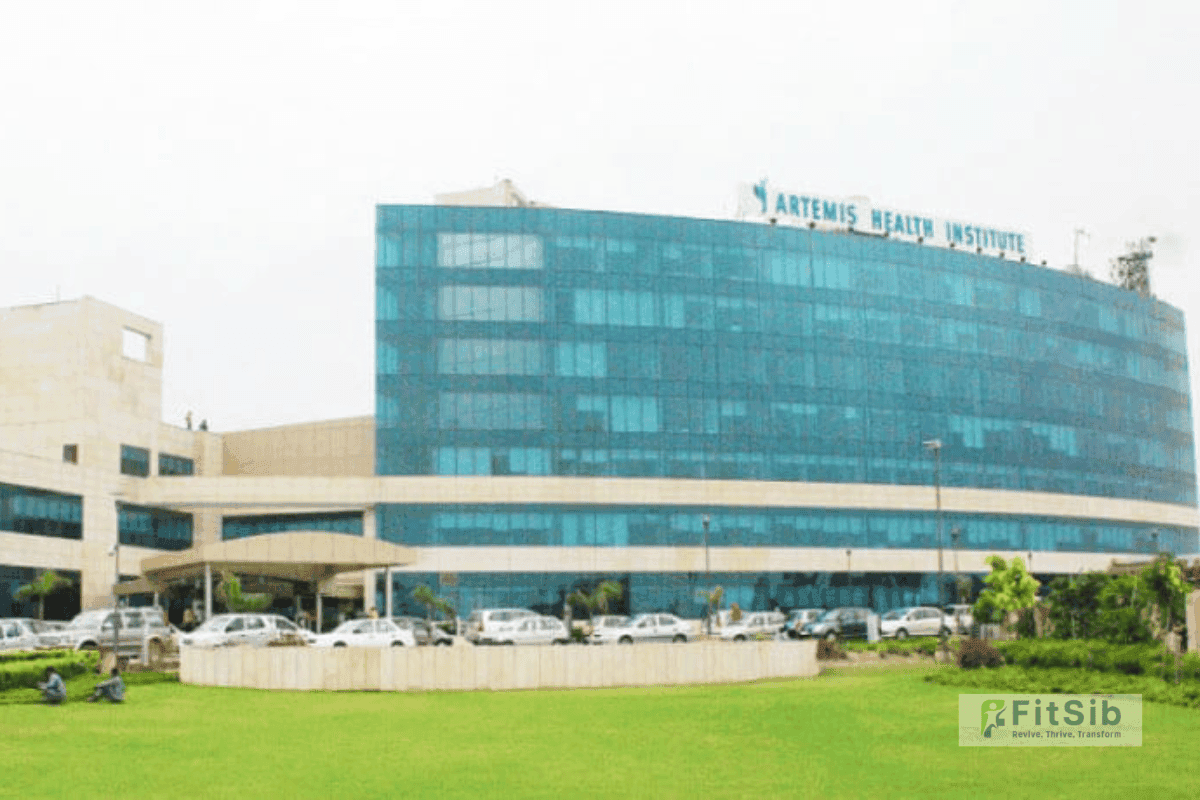Artemis Hospital