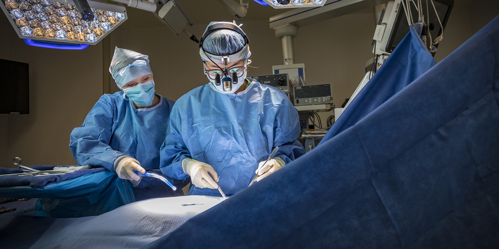 Chirurgie plastique et reconstructrice